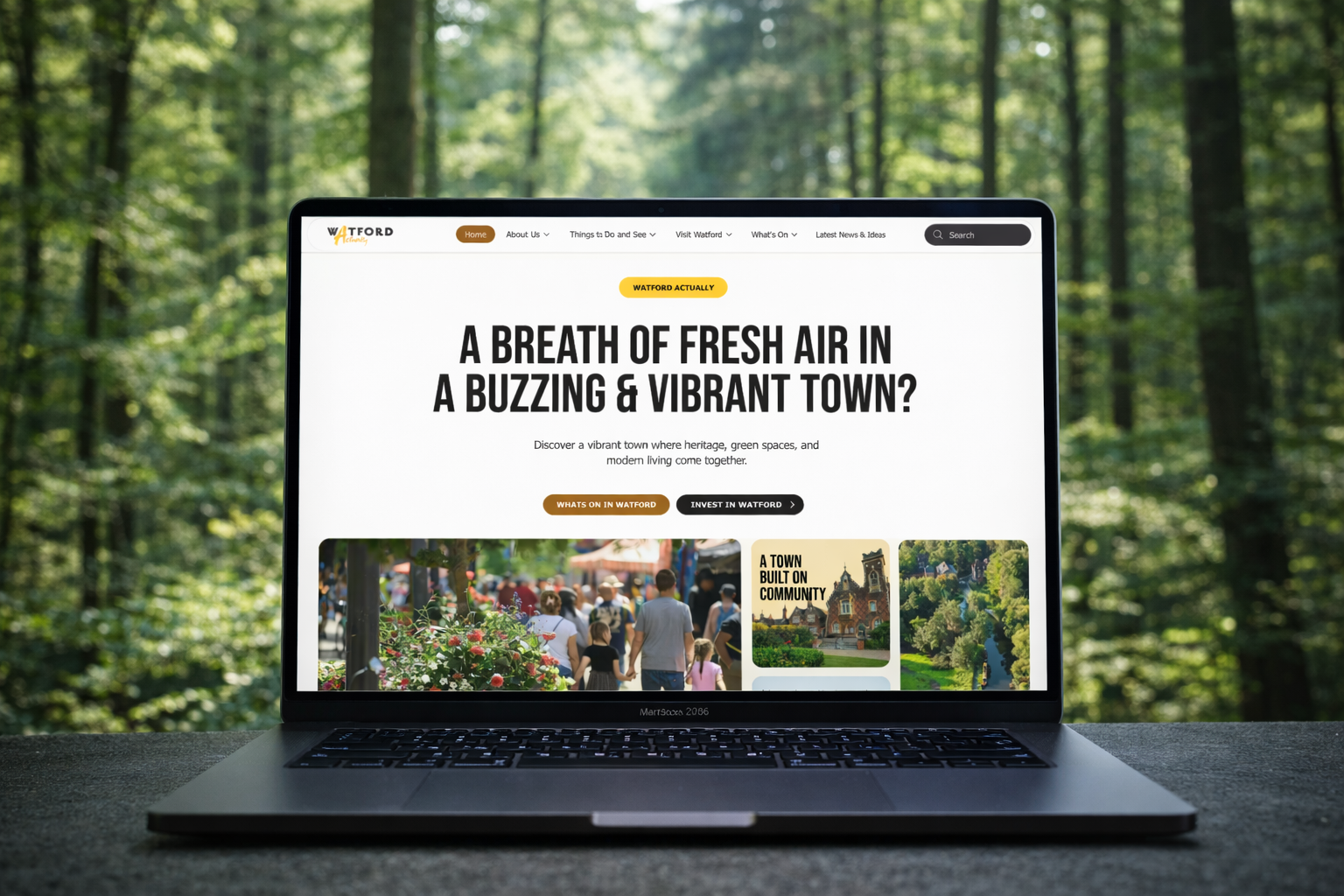 Watford Actually: Watford Council website project